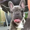 Chrissyg88 - @chrissy_graham06 - TikTok