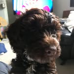Chrissy Hill - @chrissyhill31 - Instagram