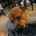 Chrissy Hoffman - Facebook
