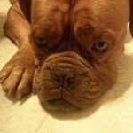 Chris Hogan - @chris.hogan.9615 - Instagram