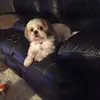 christy lyons - @christy.lyons0 - TikTok