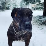 Chrissy May - @meekapoomay - Instagram