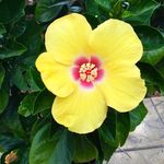 Chrissy McCarthy - @chrissyflygirl - Instagram
