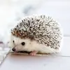 chris.murray19 - @chris.murray19 - TikTok