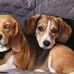 Christina Phillips - Facebook