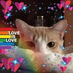 Chrissy Ritter-Beatty - Facebook