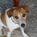 Christa Back - Facebook
