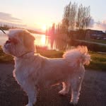 Christa Backus - @backuschrista - Instagram