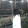 Huỳnh Tuấn Lam - @christa.barber1 - TikTok