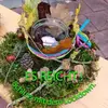 Christa Bauer606 - @christabauer2 - TikTok