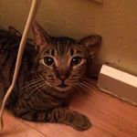 Christa Baughman - @christa.baughman - Instagram