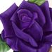 Christa Beal - Facebook