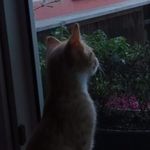 Christa Beck - @christa_beck47 - Instagram