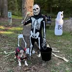 Krista Beck - Facebook