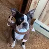 Christa - @christa.bennett - TikTok