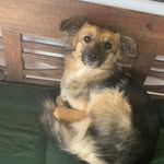 Christa Berg - @christaberg76 - Instagram