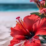 Christa Bester - @christabester20 - Instagram
