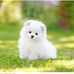 Christa Best - Facebook