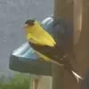 christan.bird - @christan.bird - TikTok