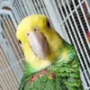 Christy Bird - @christy.girl - TikTok