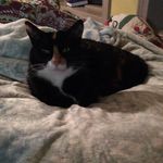 Christa Bledsoe - @christa_bledsoe_roadrunner - Instagram