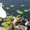 Christa Bossow - @christa.bossow - TikTok