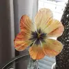christaboswell - @christaboswell - TikTok