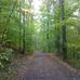 Christina Boyce - Facebook