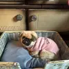 Christina Boyd - @christinaboyd05 - TikTok