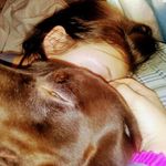 Krista Boyd - @kristaboyd68 - Instagram