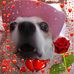 Christa Bragg - Facebook