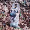 christacampbell717 - @christacampbell717 - TikTok