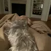 christa.campbell - @christa.campbell - TikTok