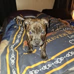 Chris Cupp - Facebook