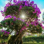 Christa Frey - @christa.frey.5268 - Instagram