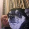 Chris Graves - @chrisgraves46 - TikTok
