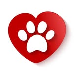 christina hodge - @colliervilleanimalshelter - Instagram
