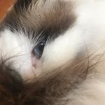 christa - @christa.mitchell - Instagram