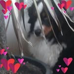 Christa Möser - @christa.moeser.9 - Instagram