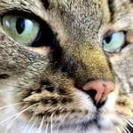 Christa Moser - @cmo.passau - Instagram