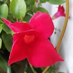 Christa Moser - @christa.moser.66 - Instagram