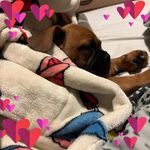 Christa Robinson - @christa0808 - Instagram