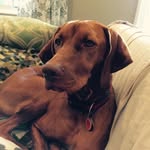 Christa Sinclair Mills - @christasinclairmills - Instagram