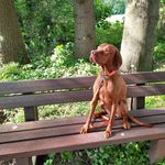 Christel Brinkmann - @brinkmann.christel - Instagram