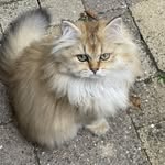 Christel Neumann - @christel.neumann1 - Instagram
