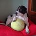 Christel Sanchez - Facebook