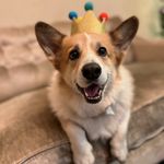 Christen Lee - @sini_abcmom - Instagram
