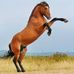 Christian Murray - Facebook