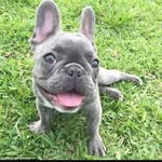 Christi Baxter 😊 - @christi__2005 - Instagram
