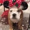 Christie Case - @christiecase3 - TikTok